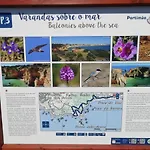 Vau Sea View, T2 Apartment, Close To Beach,ideal For Families * Portimão